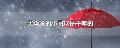​买伞时送的一小圆环是干啥用的 买伞送的一个球一个圈