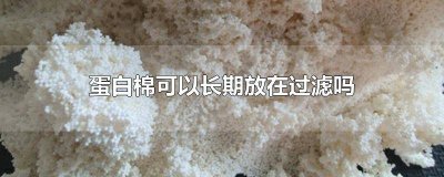 ​蛋白棉可以长期放在过滤吗活性炭可以长期放过滤箱里吗 蛋白棉放到底滤什么地方