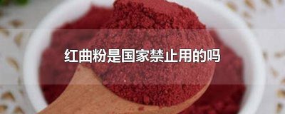 ​红曲粉可以吃吗? 红曲粉是什么东西怎么食用了V