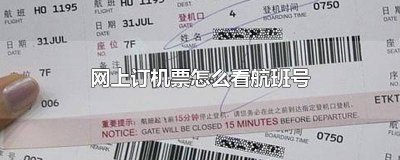 ​如何查看飞机票号 怎么用机票号查询航班