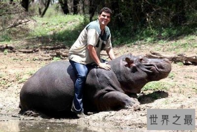 ​世界上最霸气的十大宠物：美女与狮子同睡6年