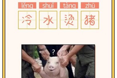​成语冷水烫猪是形容什么