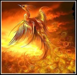 ​飞上枝头变凤凰（飞上枝头变凤凰的上一句）