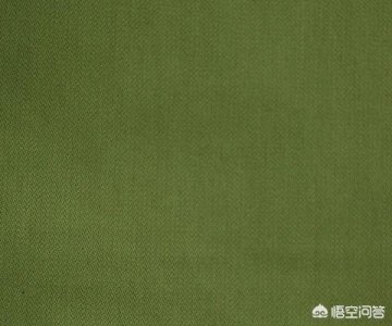 ​羊驼红酒多钱(智利羊驼红酒价格)