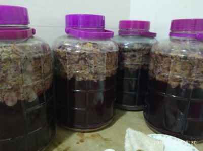 ​制酿葡萄酒颜色，做葡萄酒颜色浅需要什么