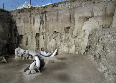 ​墨西哥城附近发现14000多年前用于猎捕猛犸象的人工陷阱