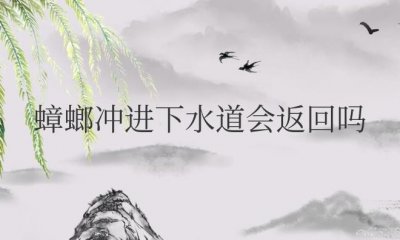 ​蟑螂冲进下水道会返回吗（冲进下水道还会爬上来吗）