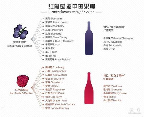 哪些水果适合酿造红酒