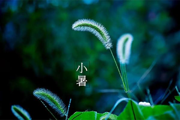 小暑节气吃什么食物 小暑节气吃什么药膳 小暑节气吃什么食物 小暑节气吃什么药膳