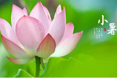 ​小暑节气吃什么食物 小暑节气吃什么药膳