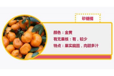 ​蜜橘和砂糖橘如何区分 蜜橘和砂糖橘的图片