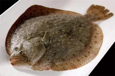 ​多宝鱼怎么去腥味 多宝鱼怎么做才入味