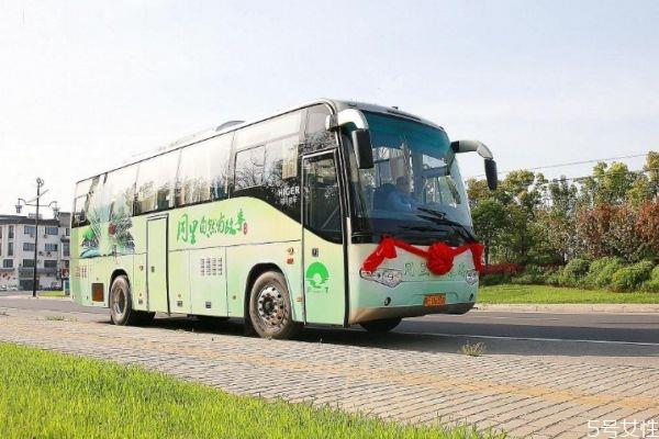 客运汽车可以带宠物吗 客运汽车可以带喷雾吗 客运汽车可以带宠物吗 客运汽车可以带喷雾吗