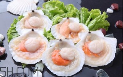 ​扇贝和生蚝有什么区别？扇贝和生蚝的营养价值