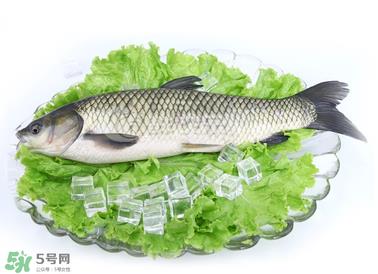 草鱼怎么做好吃 草鱼怎么做好吃又简单 草鱼怎么做好吃 草鱼怎么做好吃又简单