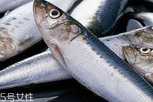 鳕鱼为什么没有头 原因你知道多少 鳕鱼为什么没有头 原因你知道多少