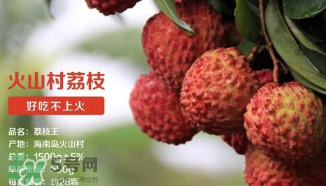 荔枝王的产地是哪里？荔枝王产地在哪儿