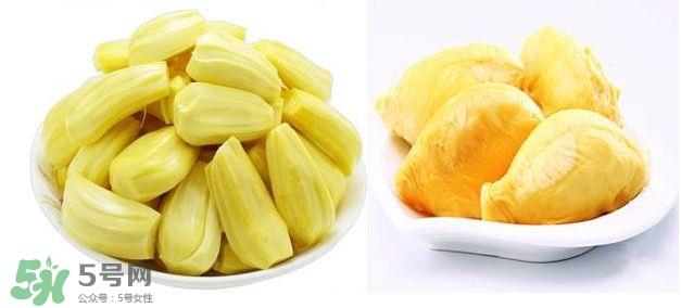 榴莲和菠萝蜜一样吗？榴莲和菠萝蜜哪个营养好？