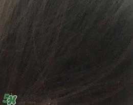 colonna洗发水怎么样?克洛娜洗发水好用吗?