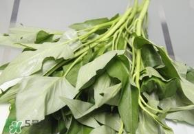 空心菜可以生吃吗？空心菜能生吃吗