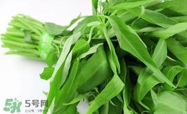 空心菜可以生吃吗？空心菜能生吃吗