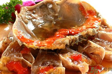 膏蟹是河蟹还是海蟹？膏蟹是什么蟹？