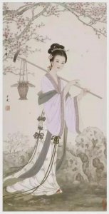 ​红楼梦中阆苑仙葩指的是什么（美玉无瑕指的是谁）