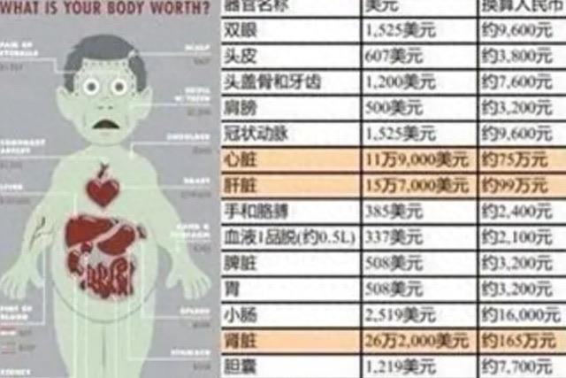 探秘如果大量美国人被割了腰子,缅北会是什么下场?很过瘾但也很危险 4