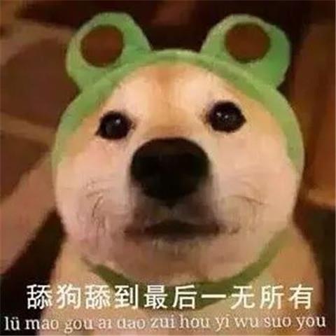 舔狗日记配文1