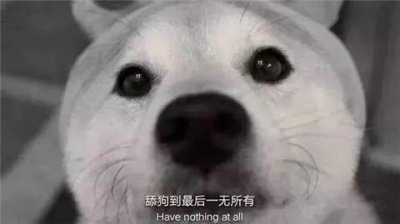 ​舔狗经典语录，舔狗日记配文