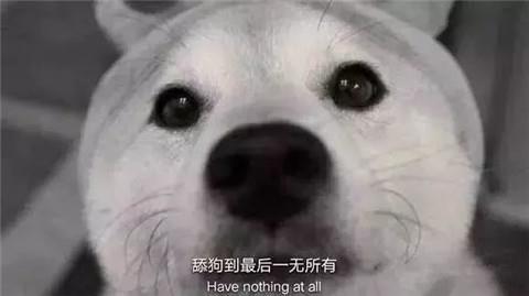 舔狗经典语录
