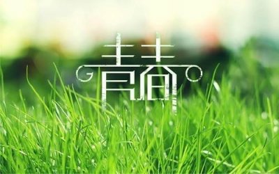 ​青春校园小说推荐40篇