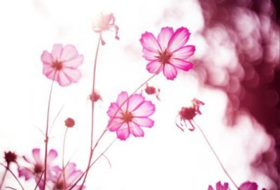 ​冷门好听的花名绰号 花名绰号大全