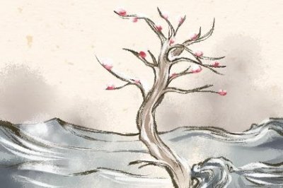 ​追一个女生什么情况下就没必要继续追了？