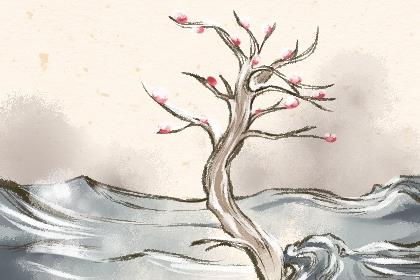 追一个女生什么情况下就没必要继续追了?