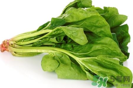 吃菠菜能减肥吗？3日菠菜减肥食谱减肥不反弹