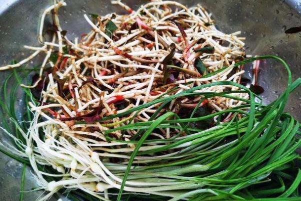 折耳根是发物吗 折耳根是茅草根吗