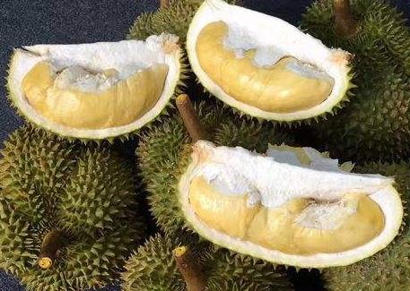 甲仑榴莲是哪里的特产 甲仑榴莲的产地