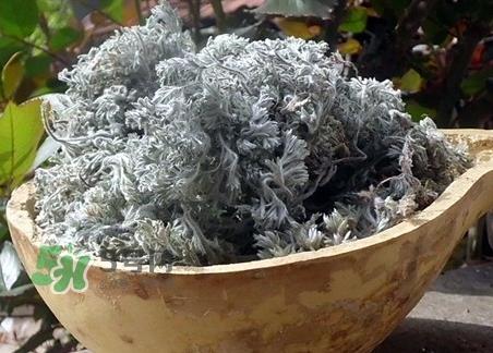 白蒿的营养价值_白蒿的功效与作用及食用方法