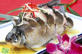 鱼有禽流感吗？吃鱼会得禽流感吗？