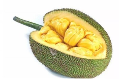 ​怎么判断菠萝蜜是否成熟 菠萝蜜挑选方法
