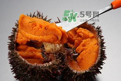 海胆怎么处理？海胆可以生吃吗？
