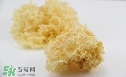 银耳没熟可以吃吗?银耳没熟吃了会中毒吗