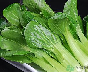 青菜可以放冰箱吗？青菜能放冰箱保鲜吗？