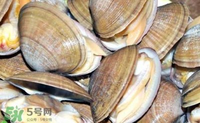 蚬子怎么吐沙子?蚬子怎么洗才干净