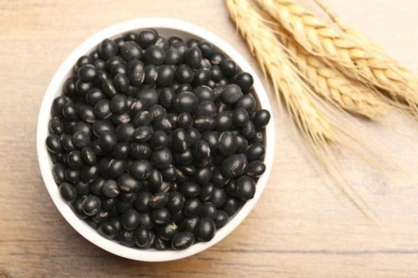 黑豆可以每天吃吗 黑豆每天吃多少合适