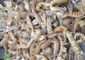 活的皮皮虾怎么保存？活的皮皮虾怎么保鲜？