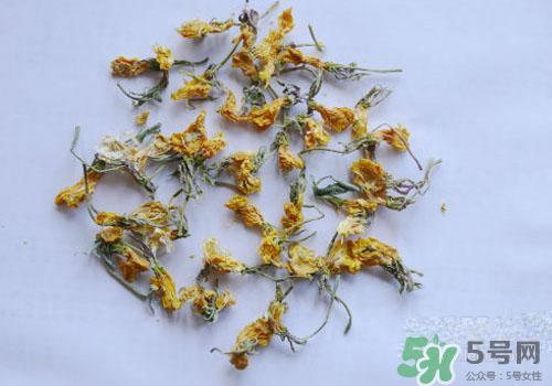月见草怎么吃？月见草的用法用量