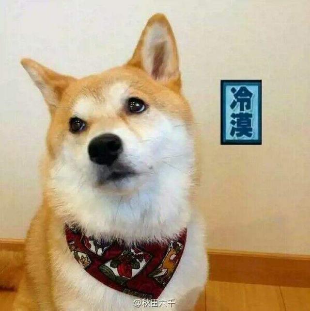 沈月小号好吃懒做胡一天初中高冷却胖，两人戏下也是天生一对啊！