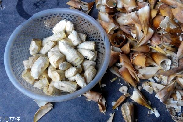 冬笋怎么挖 挖笋很简单